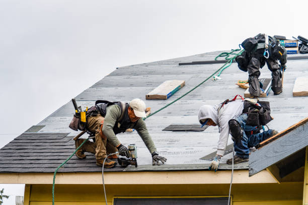 Professional Gutter Installation technician working in Ivanhoe, TX